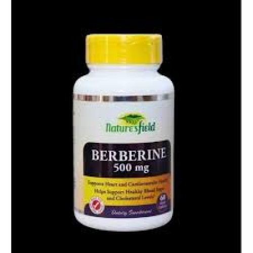 Berberine 500mg Metabolic Support